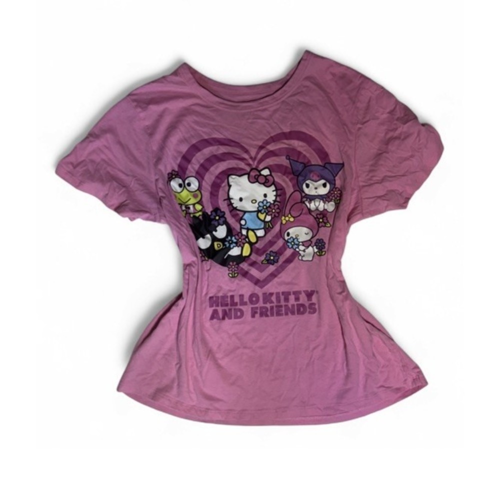 Sanrio Hello Kitty and Friends Graphic T-Shirt Women's Medium